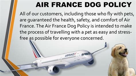 air france dog carrier requirements.